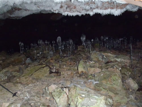 大幽の洞窟の氷筍