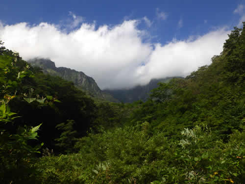 堅炭尾根と芝倉沢