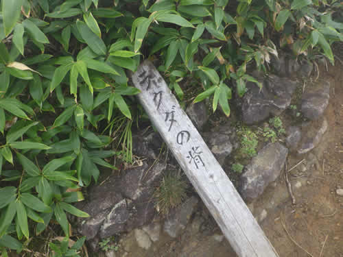 ラクダの背