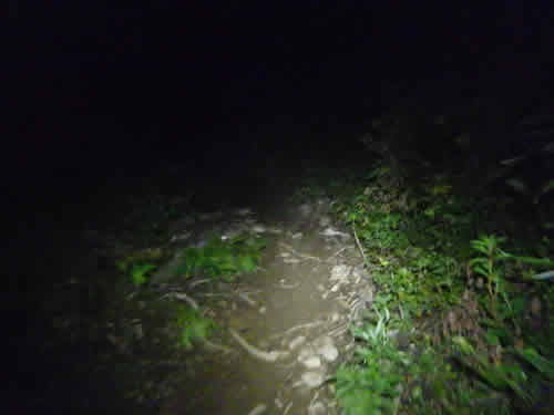 越後駒登山口