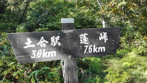 新道