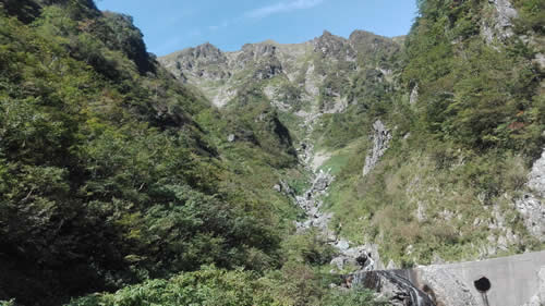 芝倉沢