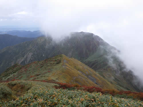 武能岳