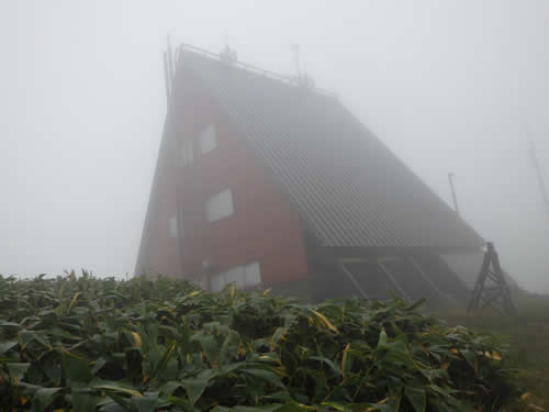 巡視小屋