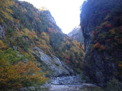 黒部渓谷雇用