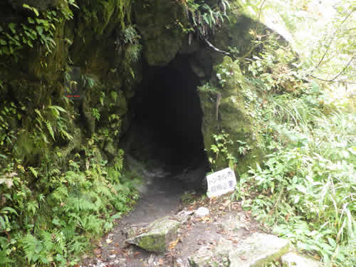 トンネル道