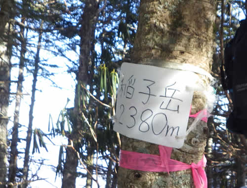 稲子岳山頂