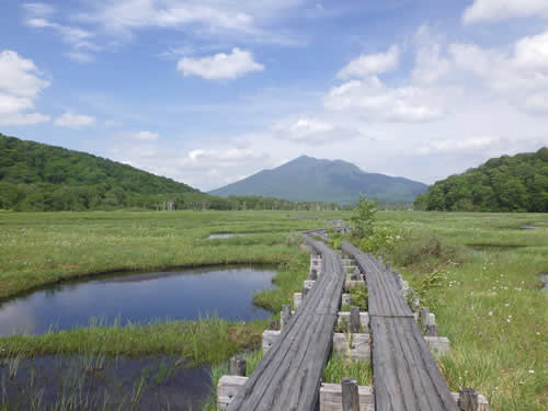 尾瀬ヶ原