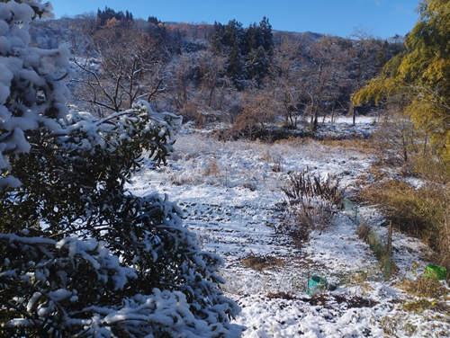 みなかみ町積雪