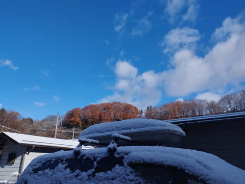 雪と紅葉