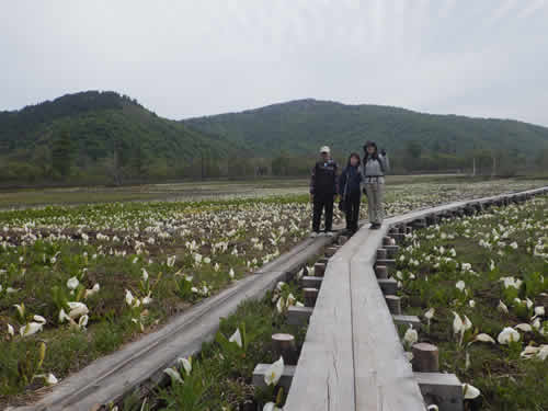 尾瀬ヶ原