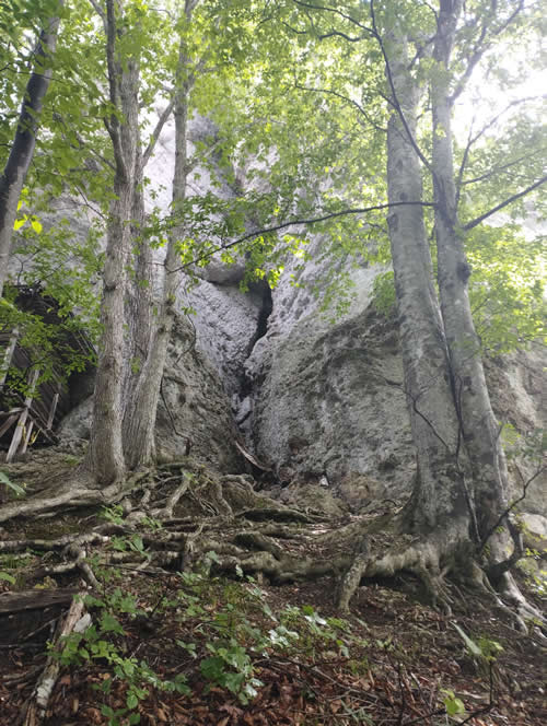 迦葉山