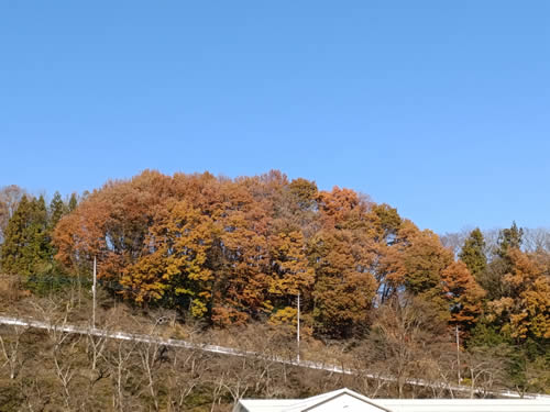 みなかみ町の里山。