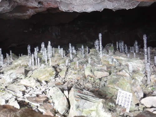 大幽洞窟氷筍