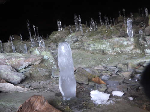 大幽洞窟の氷筍