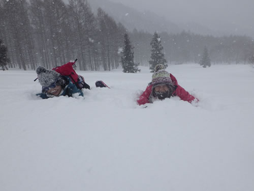 雪へダイブ