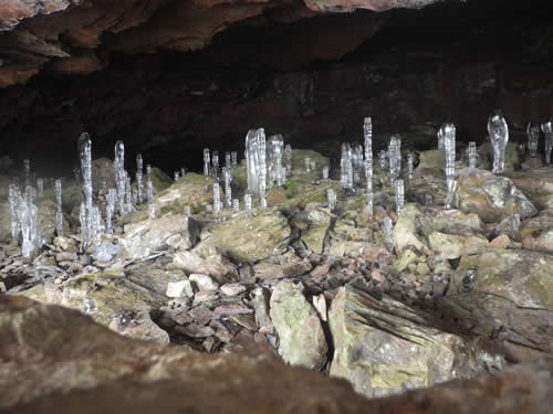 大幽洞窟の氷筍