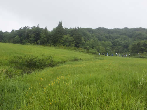 玉原湿原