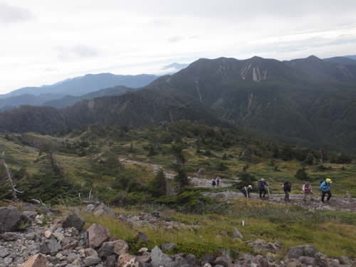 高山帯