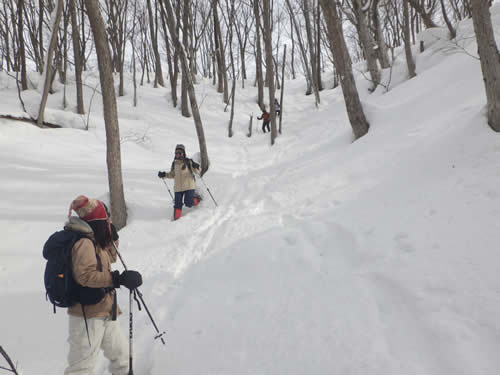 雪の斜面