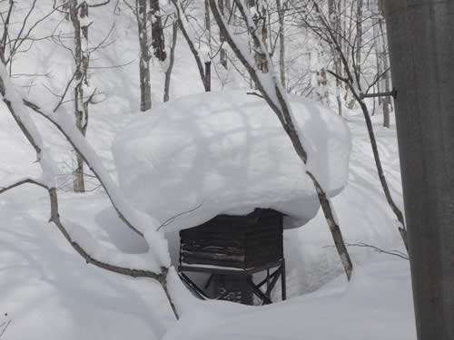 雪の帽子