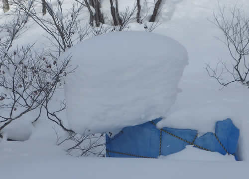 雪の帽子その2