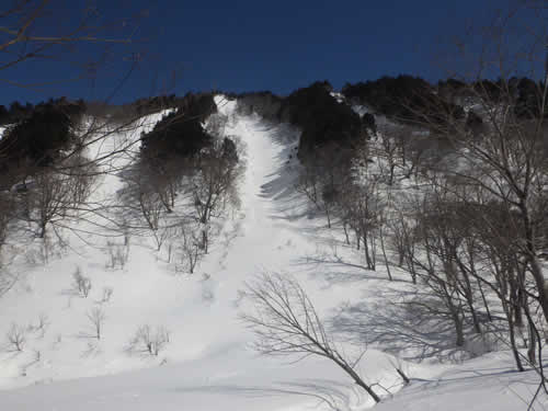 雪崩道