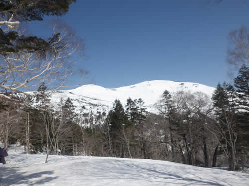 至仏山容