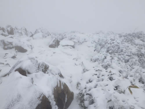 山頂雪景色。