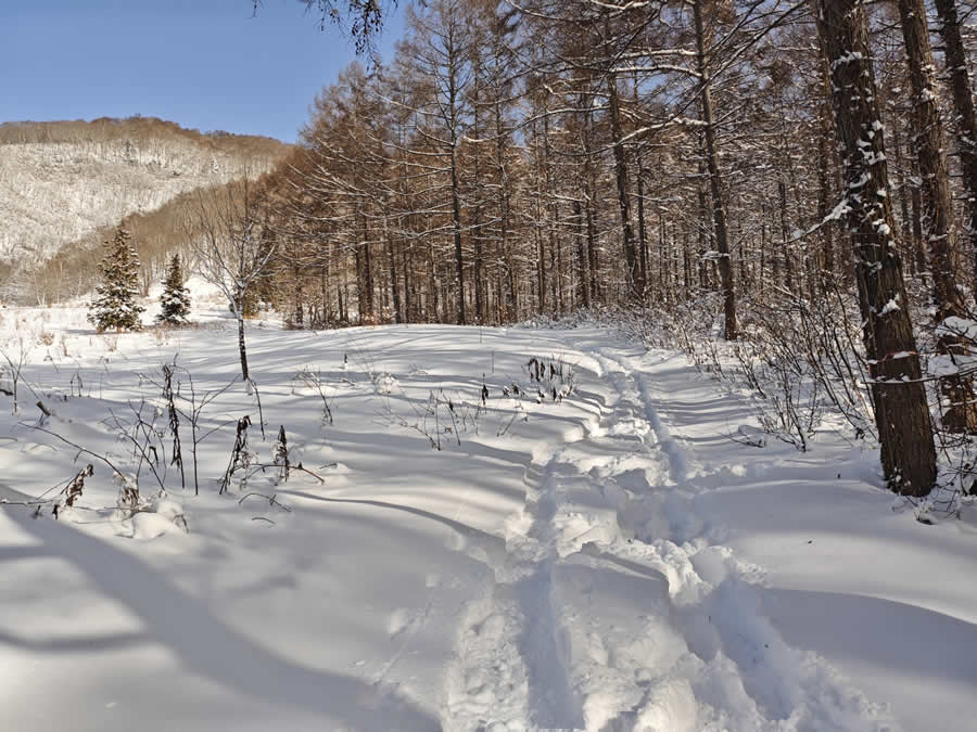 コース入り口。
