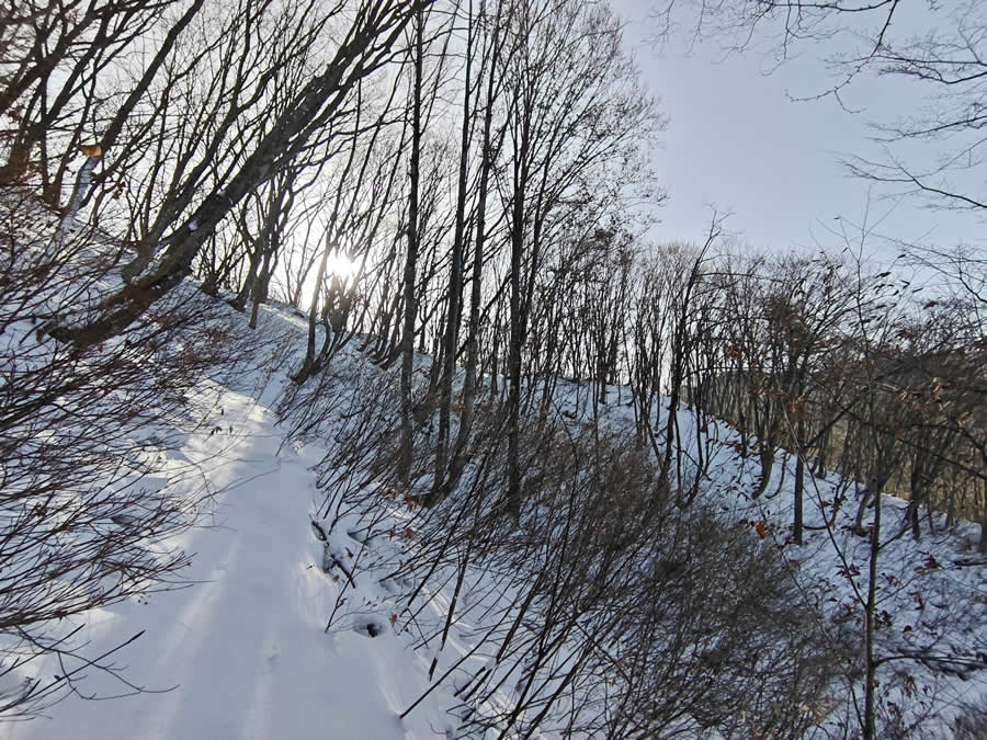 登山道積雪