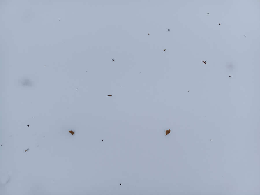 スノーフィールドサイン