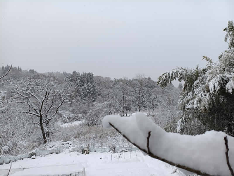 みなかみ町、降雪