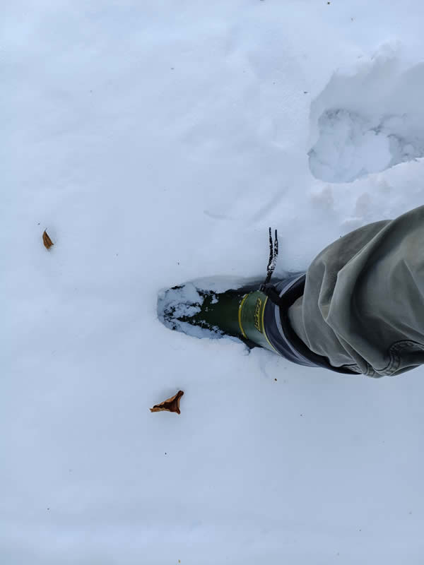 一ノ倉沢積雪量