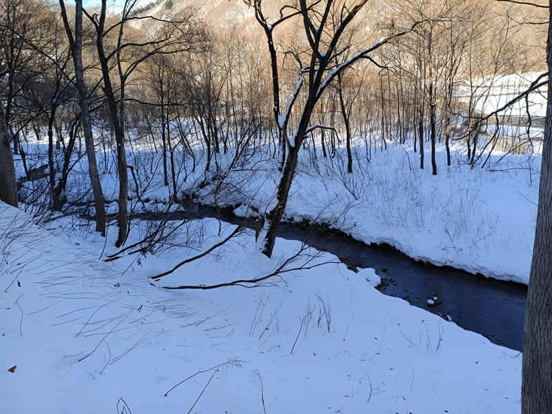 スノーシューコース積雪