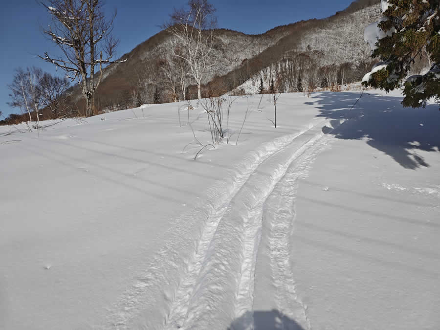 スキーの跡