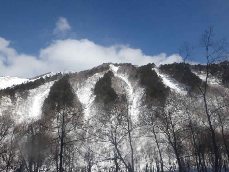 アバランチシュート