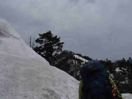 菅平牧場上ルート