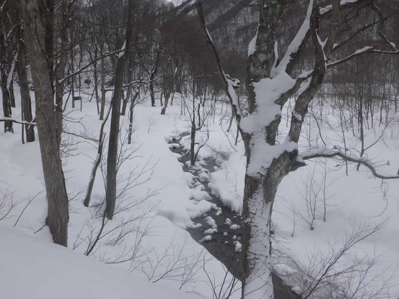 スノーシューコース