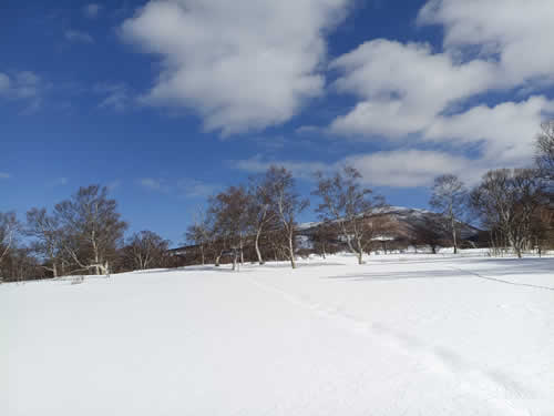 オキノミミ到着