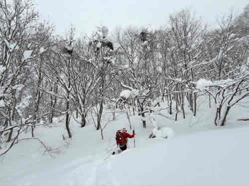 スノーシューガイド