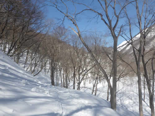 スノーシュートレース