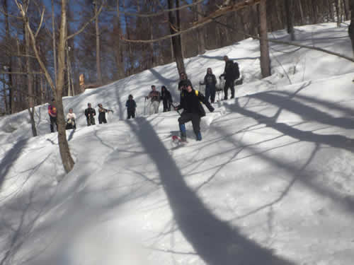 ダウンヒル練習