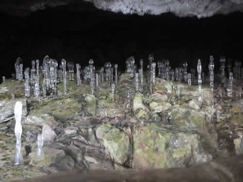 大幽洞窟氷筍