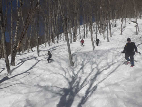 スノーシュー下り坂