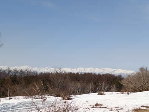 牧場からの景色