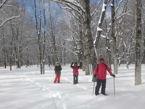 ブナリンと晴れ間
