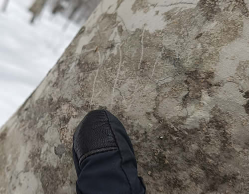 ムササビの爪痕