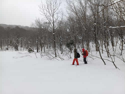 たんばら湿原到着