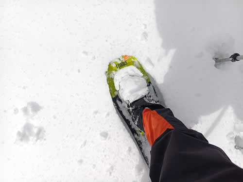 パウダースノー